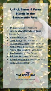 If you’re looking to get this spring or summer outdoors and learn more about where your food comes from, consider a visit to one of these family-friendly U-pick farms and farm stands in the greater Sacramento region. 
More details on our blog ➡️ Link in bio