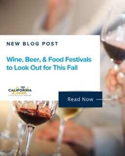 Fall is one of the best times to enjoy the flavors of the Greater Sacramento area! From wine tastings and Oktoberfests to harvest festivals and local food events, there are plenty of delicious ways to celebrate the season. 🍎🍺🍇

We’ve rounded up some of the food, wine, and beer festivals to look out for this fall!

👉 Check out the link in our bio for our latest blog post for the full list and start planning your fall adventures! 

#WindermereSignatureProperties #GreaterSacramento #SacramentoEvents #FallInSacramento #LocalEvents #Foodie #WineCountry #SacramentoLife #ShopLocal #FallFestivals